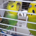 20190629_143407