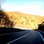 DSCN9993