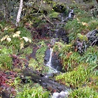 DSCN0658