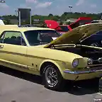 1966-mustang-gt-high-country-special-medium