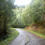DSCN8458