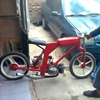 Imagen0435