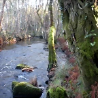 DSCN2082