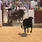 045, el toro en la plaza 2, marca