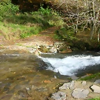 DSCN6093