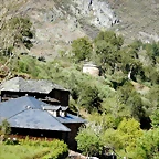 DSCN4647
