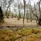 DSCN4100