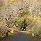 DSCN4892