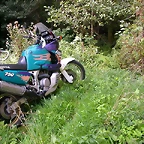 DSCN7494