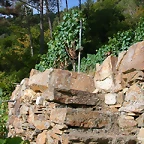 DSCN7498