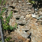 DSCN7518