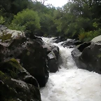 DSCN2762