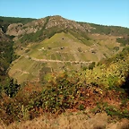 DSCN1463