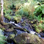 DSCN8452