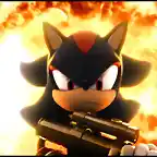 shadow-shadow-the-hedgehog-6393017-640-480