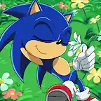 sonic20flower