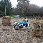 DSCN7330