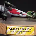 Albatros DV (50)