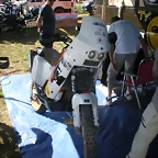 IMGP8798