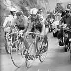 Jacques_Anquetil_&_Raymond_Poulidor