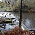 DSCN1821