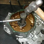 DSCN5914