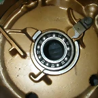 DSCN5913