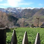 DSCN7772