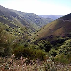 DSCN1525