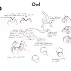 16_owl_1_original_flat_150