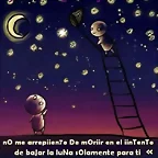 amo esta imagen al igual que tu amor