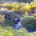 DSCN5150