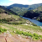 DSCN7844