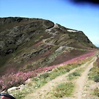 DSCF2539