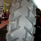 DSCN6381