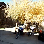 DSCN9826