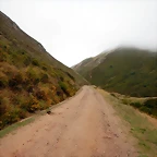 DSCN6594