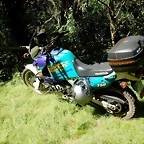 DSCN7641
