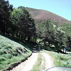 DSCF2517