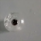 20190727_124841