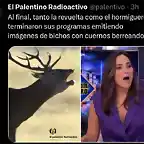 MemeHormiguero24-1