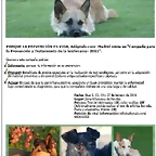 cartel