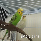 CIMG0827