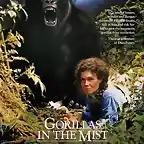 Gorilas_en_la_niebla_La_aventura_de_Dian_Fossey-860343111-large