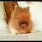 LINEcamera_share_2013-07-19-00-07-29