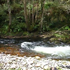 DSCN3178