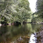 DSCN3180