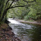 DSCN3174