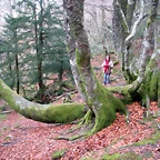 DSCN0711