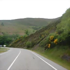 DSCN6549